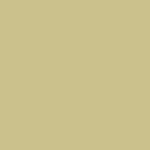 Spray paint swatch of Green Beige RAL 1000 from RAL Classic range