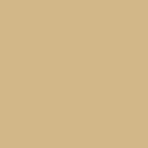 Spray paint swatch of Beige RAL 1001 from RAL Classic range