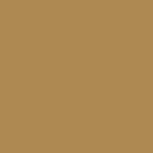Spray paint swatch of Brown Beige RAL 1011 from RAL Classic range