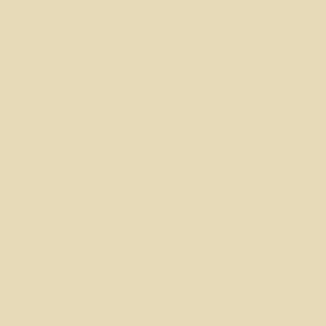 Spray paint swatch of Light Ivory RAL 1015 from RAL Classic range