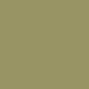 Spray paint swatch of Olive Yellow RAL 1020 from RAL Classic range