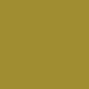 Spray paint swatch of Curry RAL 1027 from RAL Classic range