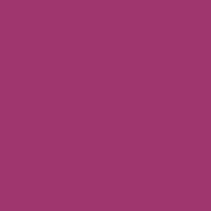 Spray paint swatch of Traffic Purple RAL 4006 from RAL Classic range
