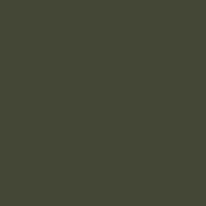 Spray paint swatch of Olive Green RAL 6003 from RAL Classic range