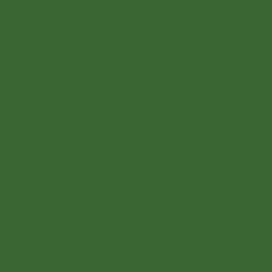 Spray paint swatch of Grass Green RAL 6010 from RAL Classic range