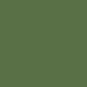 Spray paint swatch of Reseda Green RAL 6011 from RAL Classic range