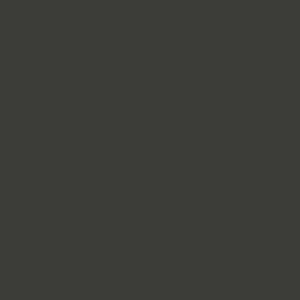Spray paint swatch of Black Olive RAL 6015 from RAL Classic range