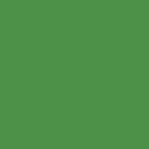 Spray paint swatch of May Green RAL 6017 from RAL Classic range