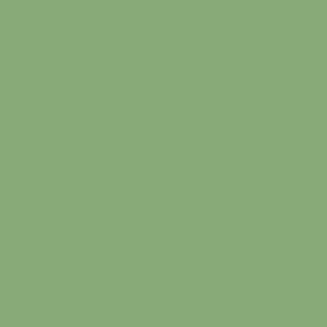 Spray paint swatch of Pale Green RAL 6021 from RAL Classic range