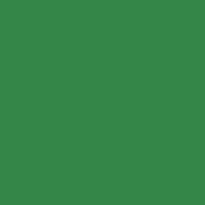 Spray paint swatch of Traffic Green RAL 6024 from RAL Classic range