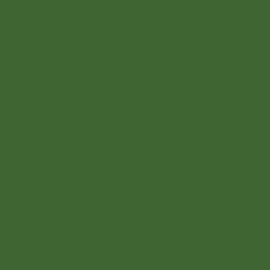 Spray paint swatch of Fern Green RAL 6025 from RAL Classic range