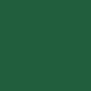 Spray paint swatch of Mint Green RAL 6029 from RAL Classic range