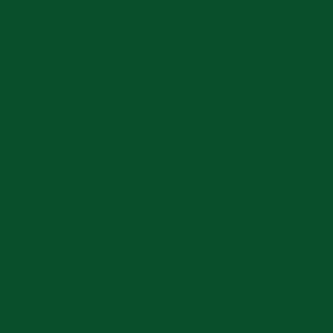 Spray paint swatch of Pearl Green RAL 6035 from RAL Classic range