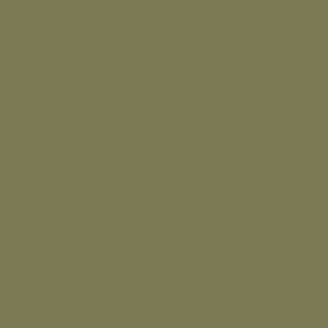 Spray paint swatch of Olive Grey RAL 7002 from RAL Classic range