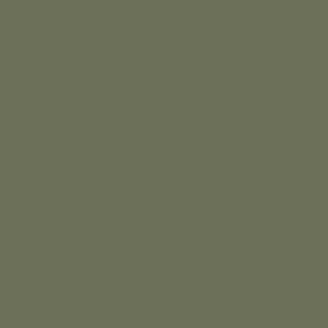 Spray paint swatch of Moss Grey RAL 7003 from RAL Classic range