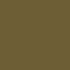 Spray paint swatch of Khaki Grey RAL 7008 from RAL Classic range