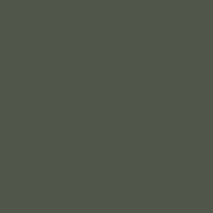 Spray paint swatch of Green Grey RAL 7009 from RAL Classic range