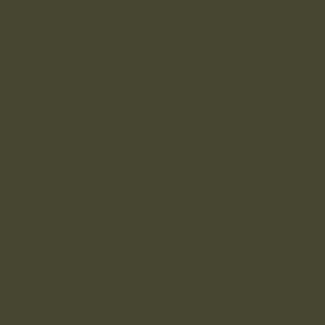 Spray paint swatch of Brown Grey RAL 7013 from RAL Classic range