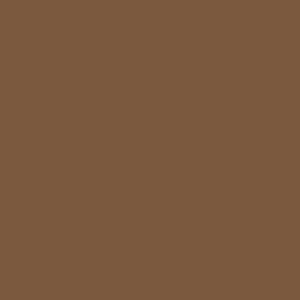 Spray paint swatch of Beige Brown RAL 8024 from RAL Classic range